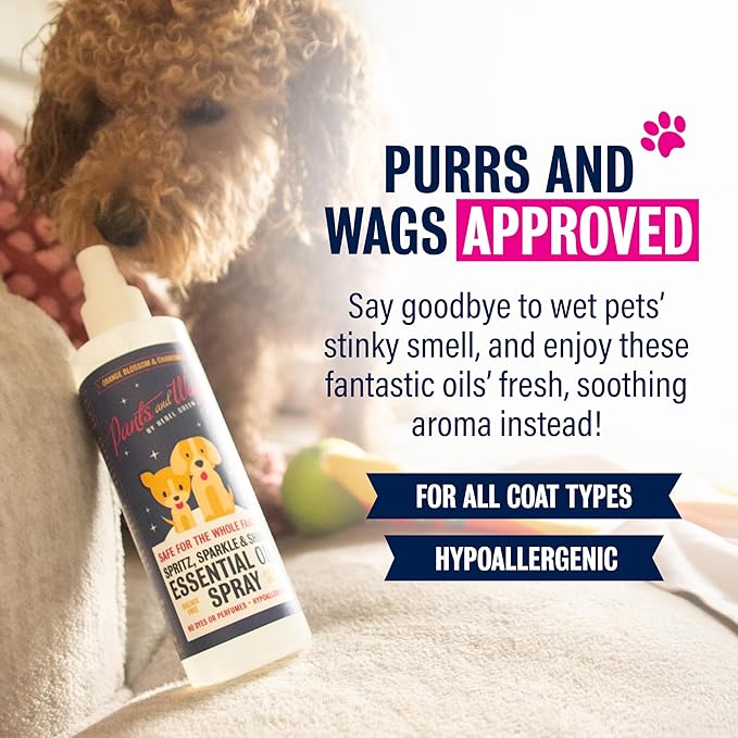 Rebel Green Pants & Wags Spritz, Sparkle & Shine Essential Oil Spray - Orange Blossom & Chamomile - Hypoallergenic - No Dyes or Perfumes - 8 oz - 2 Pack
