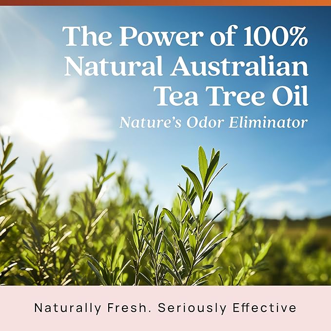 Azuna Air Freshener & Odor Eliminator for Strong Odor | 2 Room Kit Includes (2) Empty Luxe Glass Jar & 12oz Gel Refill with Tea Tree Essential Oil | Sandalwood Scent | Last 60-90 Days