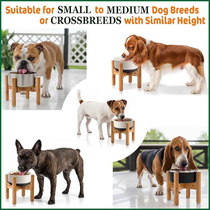 Dog Bowl Stand for Medium Breeds - Use to Raise, Elevate Dog Food/Water Feeders, Fountains and Bowls, Adaptable Size (See Size Guide) - Bamboo
