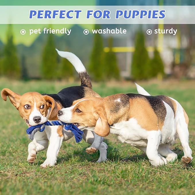 Wellbro Pet Chew Rope Toy for Teething, Entertainment & Interaction, Knots Weave Cotton Rope, Biting Small Ball Tough Chew Toys for Dogs & Cats, 4 Pack