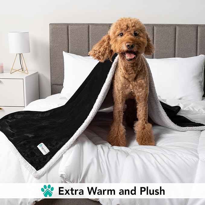 PetAmi Dog Blanket for Small Medium Dogs, Pet Bed Blanket Cat Puppy Kitten, Fleece Furniture Couch Cover Protector Sofa Car, Soft Sherpa Dog Throw Plush Reversible Washable, Mini 29x40 Black