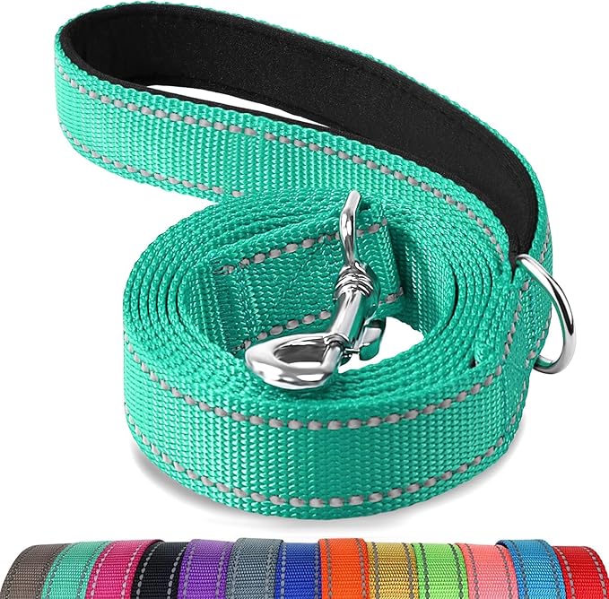 Joytale Dog Leash, 4 FT Double-Sided Reflective, Padded Handle Nylon Heavy Duty Leashes for Medium & Large Dogs Walking, Teal