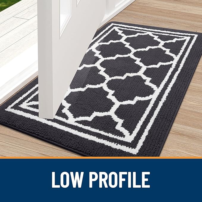 Buganda Indoor Door Mat, Dirt-Resistant and Absorbent Doormat, Anti-Slip, Low Profile Floor Mats for Inside Entryway, Front, and Back Door Entrance (32x20 Inches, Dark Grey)