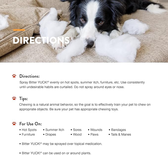 NaturVet Bitter Yuck! No Chew Spray for Dogs, Cats, and Horses Pet Training Spray, Liquid, Made in The USA, 16 Ounce