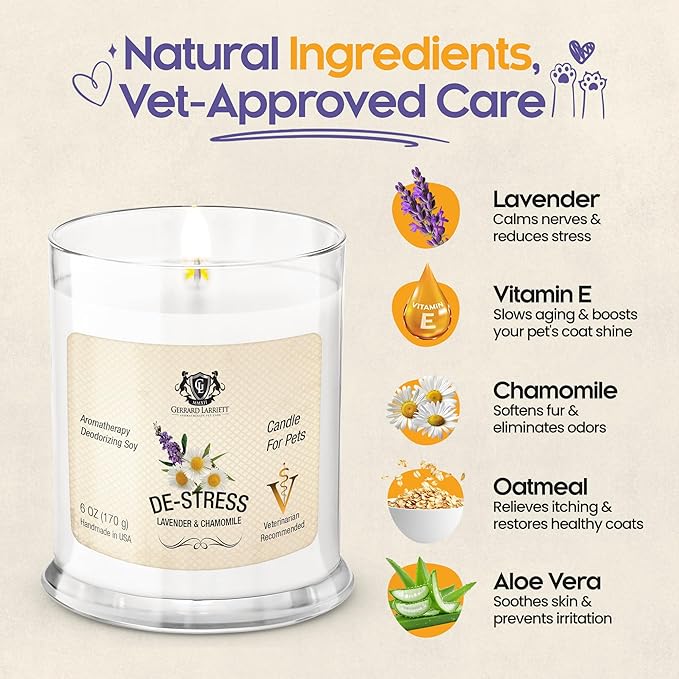Pet Odor Eliminator Candle Lavender and Chamomile Scented Candle, Pet Candles Odor Eliminator, Soy Wax Calming Candles Aromatherapy, Dog & Cat Friendly Air Fresheners by Gerrard Larriett