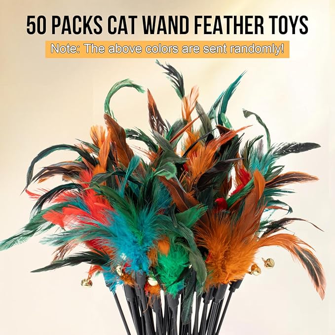 Leitee 50 Pcs Cat Wand Toy Feather Stick Cat Toy Feather Toys and Teaser Wand Bulk Interactive Stick for Indoor