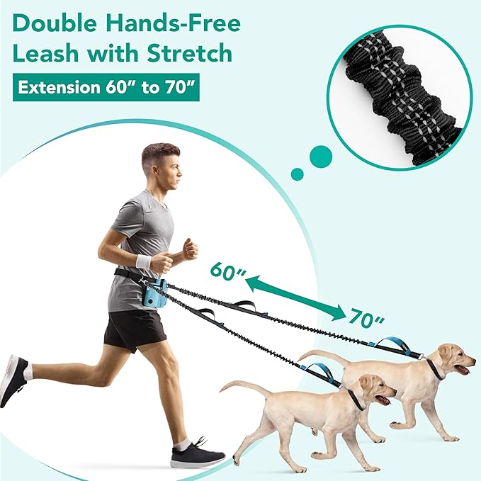 PetAmi Premium Hands Free Dog Leash for 2 Dogs, Adjustable Waist Belt for Dog Walking, Fanny Pack Accessories Bag Dual Bungee for Running, Hiking, Jogging, Biking, Turquoise Blue