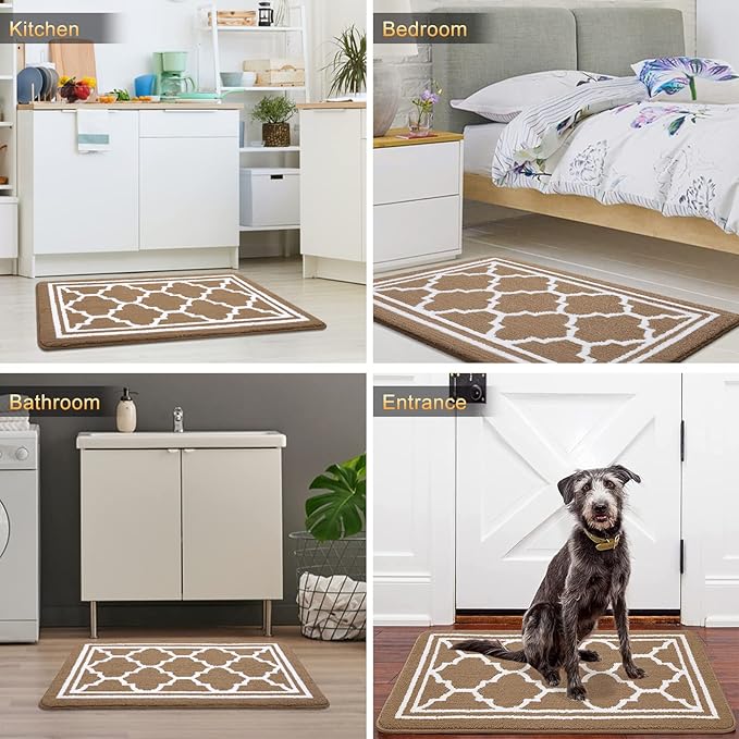 Buganda Indoor Door Mat, Dirt-Resistant and Absorbent Doormat, Anti-Slip, Low Profile Floor Mats for Inside Entryway, Front, and Back Door Entrance (36x24 Inches, Brown)