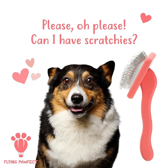 Dog Slicker Brush for Grooming Pet Hair - Best Slicker For Poodle & Golden Doodle - Long Haired Tool For Dogs - Goldendoodle Long Pin Brush For Dematting (Coral, Flat Large)