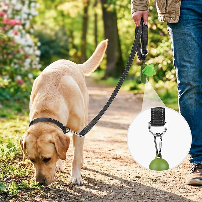 Joytale Dog Leash, 6 FT Double-Sided Reflective, Padded Handle Nylon Heavy Duty Leashes for Small Dogs Walking, Black