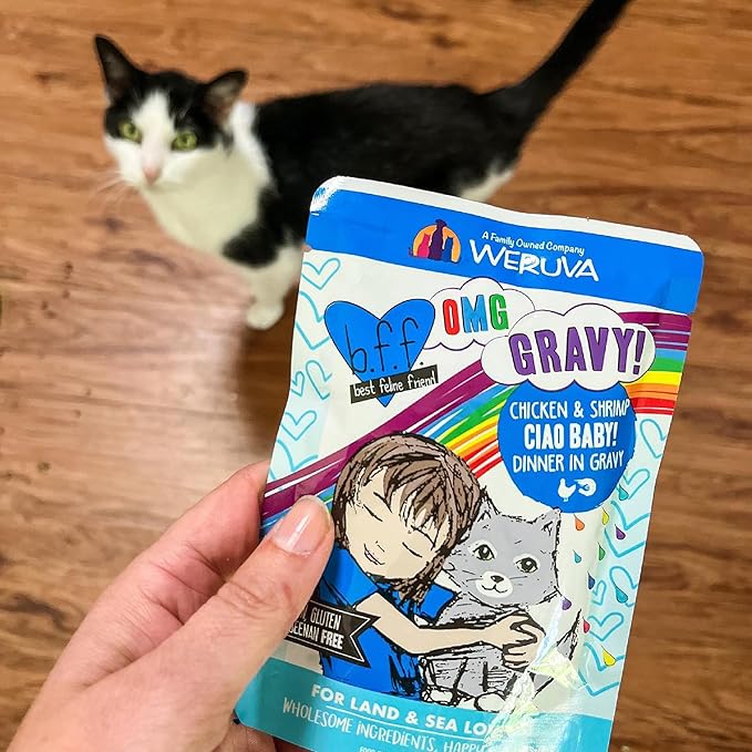 Weruva B.F.F. OMG - Best Feline Friend Oh My Gravy!, Chicken & Salmon Shine Bright with Chicken & Salmon in Gravy, 2.8oz Pouch (Pack of 12)
