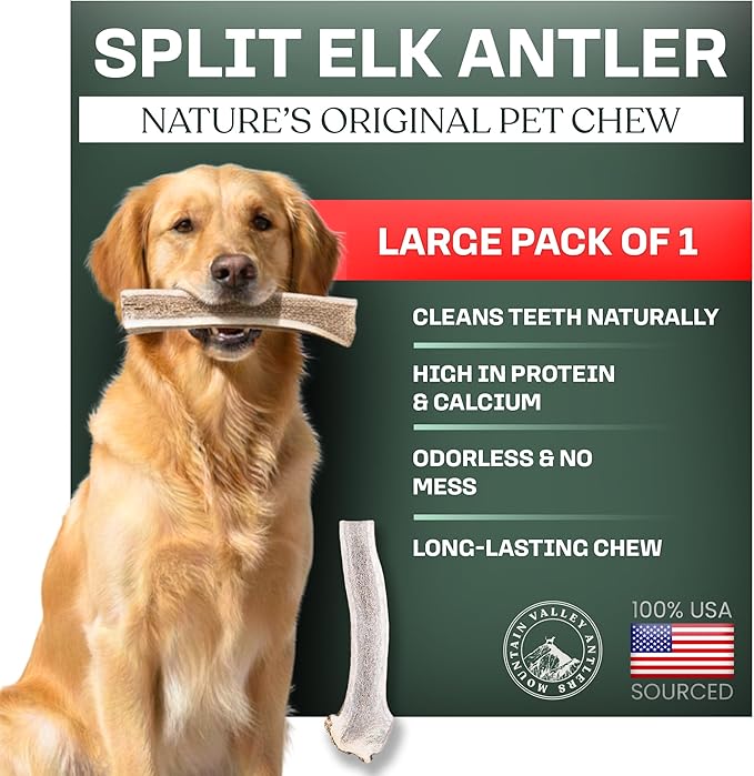 Mountain Valley Elk Antlers for Dogs - 100% Natural & Organic Chew for Aggressive Chewers, No Odor, No Mess, Long Lasting - Wild-Foraged Naturally Shed Antlers in USA - Grade A, Split Large (1 Pack)