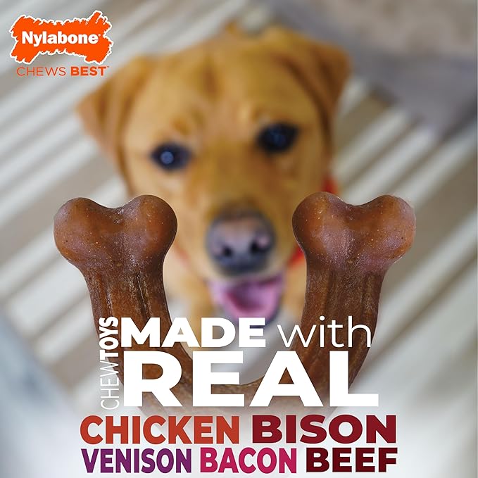 Nylabone Strong Chew Toy 4-Pack Bundle for Dogs Made with Real Bacon, Bison, Venison, Beef, & Chicken, Durable Dog Chew Bones for Aggressive Chewers, Large Dog Toys - Up to 50 lbs, 4 Count