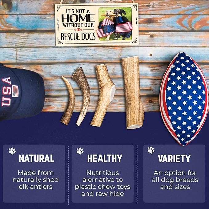 Devil Dog Pet Co. Elk Antlers for Dogs, Large 6"+, 1 Pack, Grade A Long Lasting Chew for Aggressive Chewers, Premium USA Naturally Shed Antler – Healthy, No Odor, Durable Dog Chew