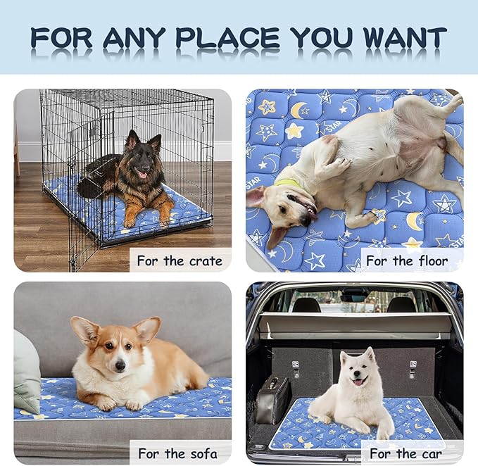 Bubble bear Dog Crate Mat - Ultra Soft, Washable & Anti-Slip Kennel Pad for Small/Medium/Large Dogs, Dark-Hued to Hide Stains (48"x30")