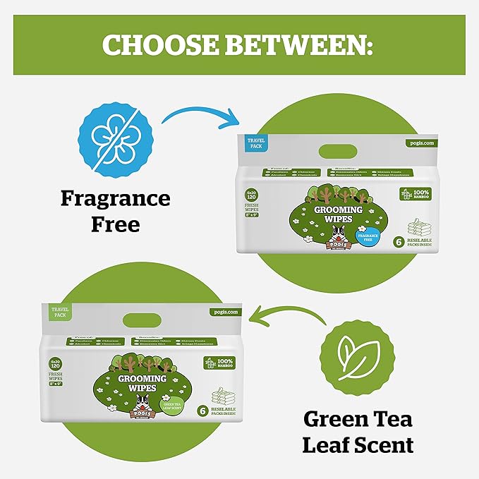 Pogi’s Dog Wipes Travel Packs – Hypoallergenic Pet Wipes for Paws, Body & Butt – Cleaning & Hydrating, Green Tea Scent, 120-Count