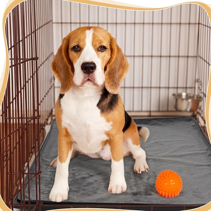 Weysat 1 Set Replacement Dog Crate Tray with Mat, 35.04" x 23.23" Under Crate Floor Protector, Kennel Pan and Reusable Waterproof Dog Pads Set for Chicken Poop Cat Bird Pet Bottom Liner
