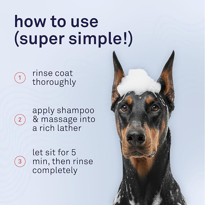 Petpost | Oatmeal & Chamomile Dog Shampoo. Soothes Dry, Sensitive Skin, Moisturizes & Softens Coat with Aloe & Yucca. 8 oz
