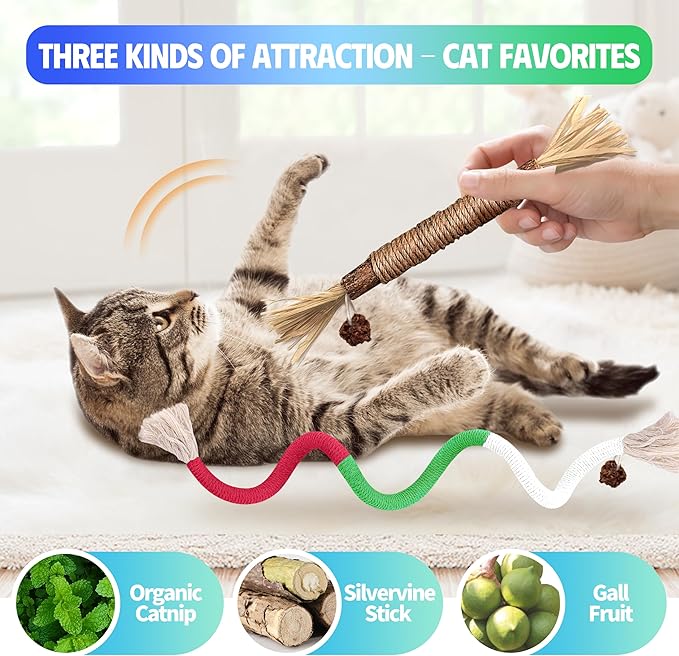 GBSYU Cat Toys Chew Rope & Silvervine Sticks for Bored Indoor Adult Cats, 2Pcs Interactive Catnip Toys for Cats with Refillable Natural Catnip Bag for Teeth Cleaning