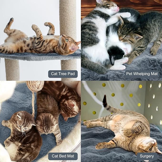3 Pack Dark Gray Self Warming Cat Bed Indoor 16''x16'' Cat Self Heating Mat Soft Thermal Kitten Bed Heated Pet Dog Pad Washable Removable for Outdoor Use Non Slip Reflect Body Heat