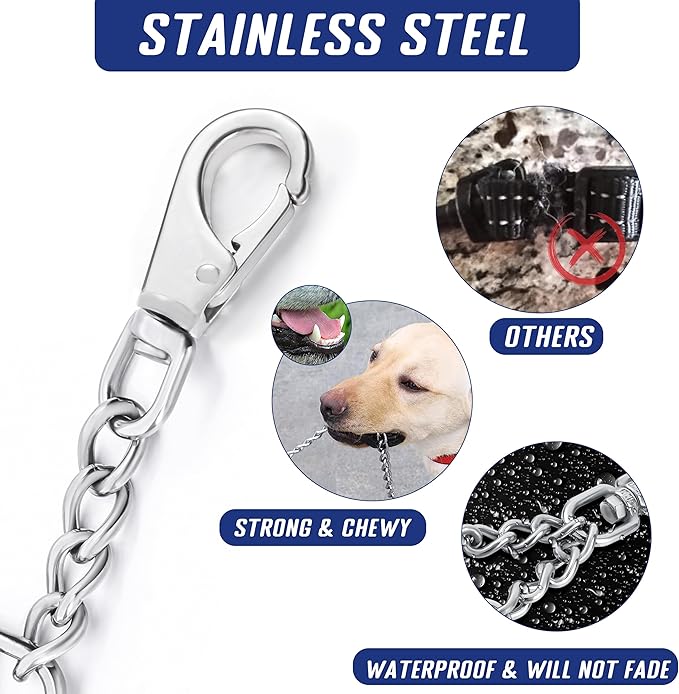 Leash Backup with Dual Clasps Prong Collar Safety Clip Stainless Steel Dog Safety Clip Collars and No Pull Harness Connectors