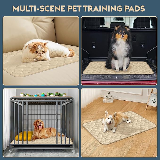 Washable Pee Pads for Dogs - 2 Pack Reusable Waterproof Puppy Training Pads, Super Absorbent with Dog Paw Shape Non-Slip Backing (Cream, 41" X 41" - 2 Pack)