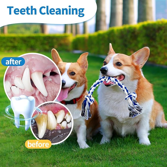 WDZZHOT [2 Pack] Dog Rope Toys, Dog Chew Toy for Medium and Small Dogs, 3 Knots Heavy Duty Puppy Rope Toy, 100% Cotton Tug of War Dog Toys for Boredom, Teeth Cleaning