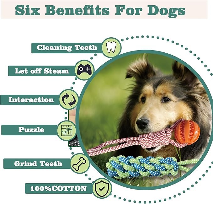 Interactive Dog Toys Tug of War Dog Toy for Small/Medium/Large Dogs,Teething Rope for Teeth Cleaning,Puzzle Ball for Chewing,Dog Bungee Tug Toy Kit, Blue