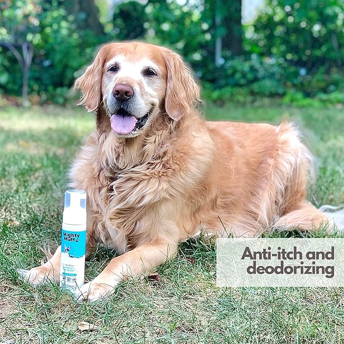 Mighty Mutt Hypoallergenic Waterless Shampoo for Dogs | Dry Shampoo for Dogs | Waterless Foam No Rinse | Anti-Itch, Soothing and Deodorizing | Spring Meadow | 8 Fl Oz