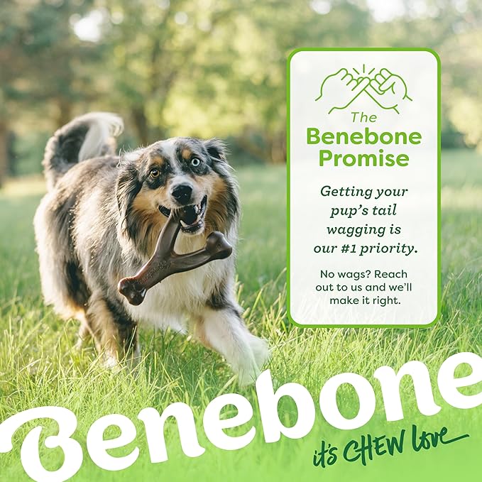 Benebone Wishbone Dog Chew Toy for Aggressive Chewers | Real Bacon Flavor | Made in USA | Giant Size | Pack of 2