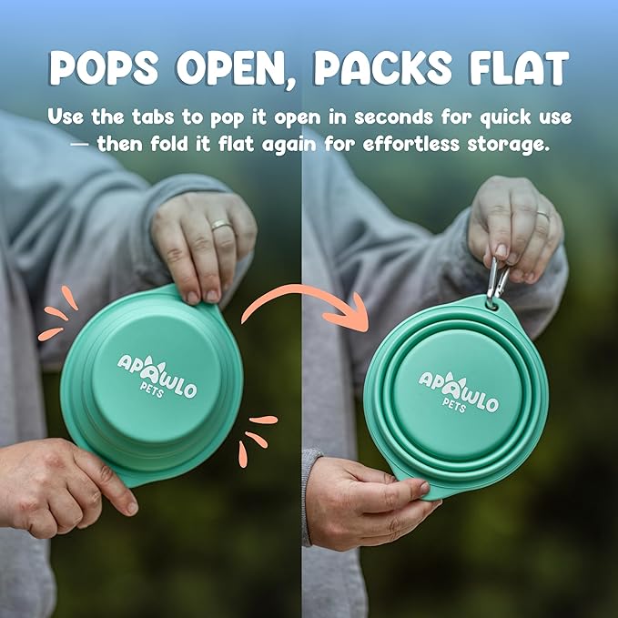 Collapsible Dog Bowl - 800ml/27 oz Portable Silicone Travel Water Bowl for Dogs with Carabiner | Foldable, Dishwasher Safe | Hiking, Camping Dog Essentials & Outdoor Pet Feeding - Green