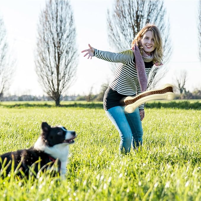 Sosation 6 Pcs Dog Toys for Aggressive Chewers Christmas Nylon Beef Flavor Bones Tough Puppy Teething Toys Puppy Chew Bones for Large Medium Small Breed Dogs Puppies(Small)