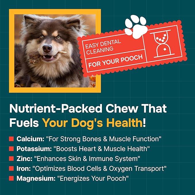 REXIPETS 100% Natural - Elk Antlers for Dogs - Naturally Shed in USA - Long Lasting Chews for Aggressive Chewers - Natural, Real Dog Antler Treats & Toys - Dog Chews - No Odor & No Mess - Large