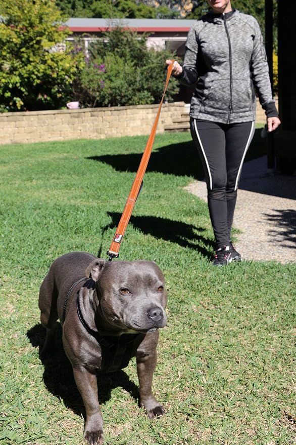 Primal Pet Gear Dog Leash 6ft Long,Traffic Padded Two Handle,Heavy Duty,Reflective Double Handles Lead for Control Safety Training,Leashes for Large Dogs or Medium Dogs,Dual Handles Leads(Orange)