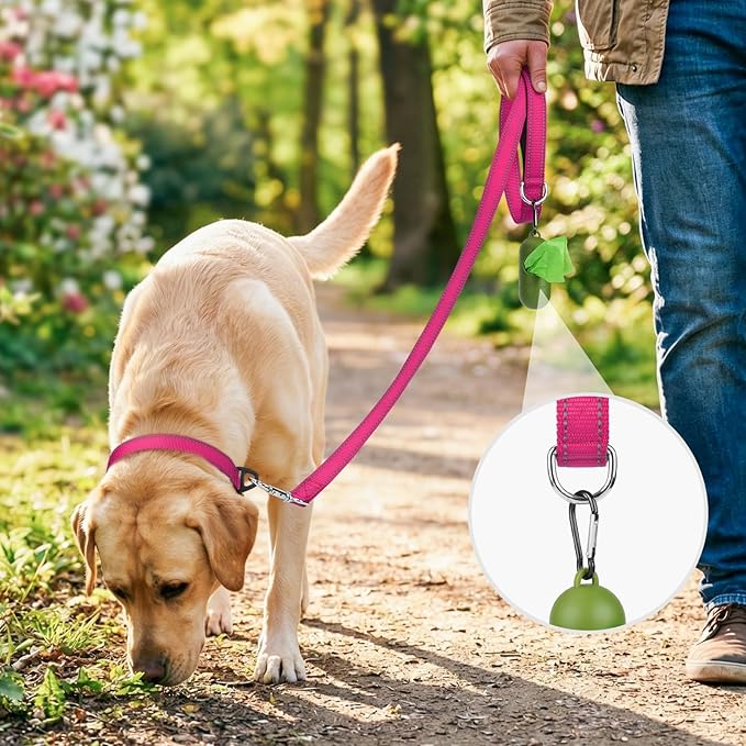 Joytale Dog Leash, 5 FT Double-Sided Reflective, Padded Handle Nylon Heavy Duty Leashes for Small Dogs Walking, Hotpink