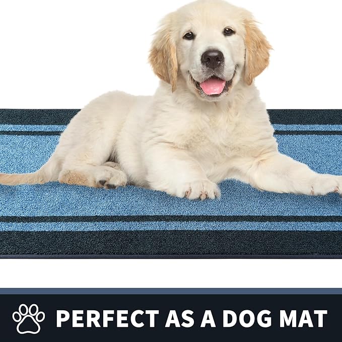 PURRUGS Dirt Trapping Door Mat 32" x 48", Non-Slip Machine Washable Entryway Rug, Entrance Mat, Indoor Front Door Mat, Super Absorbent Entry Rug for Muddy Shoes & Paws, Light Blue & Navy