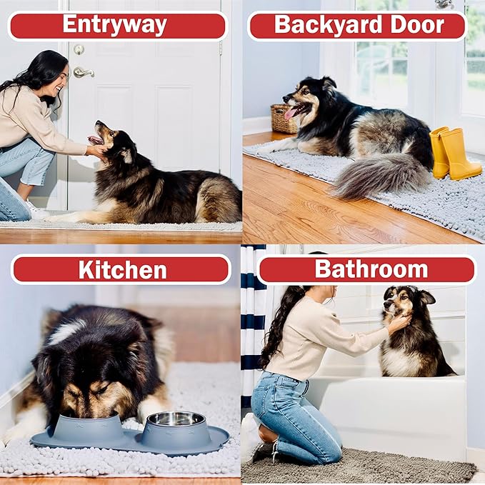 DogBuddy Dog Door Mat for Muddy Paws, Absorbent Microfiber Pet Rug, Waterproof Non-Slip Doormat, Washable Rugs for Dogs, Entryway Indoor Outdoor Mat, Dog Supplies (XL, Mist)
