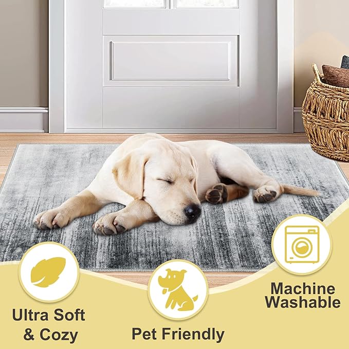 COMSLE Door Mat Soft Absorbent Indoor Front Entryway Rug Machine Washable Entrance Mats for Muddy Paws Non Slip Throw Rugs 24" x 48" Doormat for Inside Foyer Bedroom - Gray