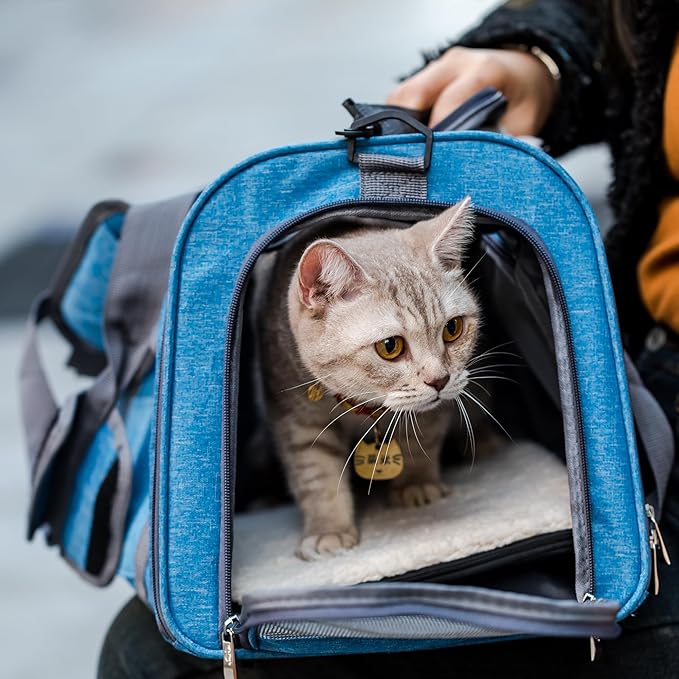 Mr. Pen- Pet Carrier, 17.5" x 11.2" x 11.5", Medium Size, Blue, Portable Travel Carrier for Small Pets, Cats & Small Dogs, Breathable Mesh, Safety Inner Leash, Side Pocket & Padded Shoulder Strap