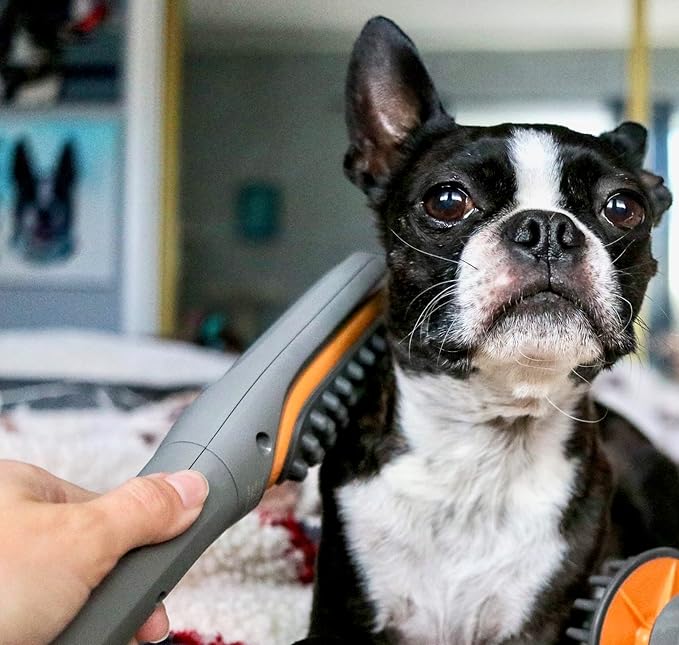 Buzz Therapeutic Brush Vibration Pet Massager for Dogs and Cats Designed to Help Soothe Tension, Increase Circulation and Relieve Tight Muscles