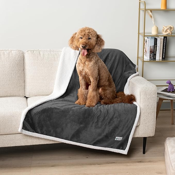 PetAmi Waterproof Dog Blanket for Small Medium Dog Puppy Cat Throw for Couch Cover Leakproof Protection, Sherpa Fleece, Reversible Soft Washable 29x40 Charcoal Gray