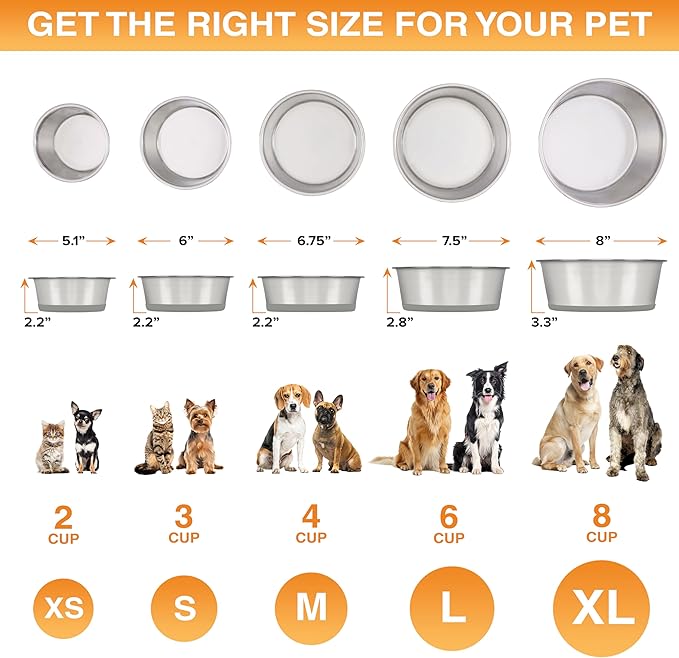 Neater Pet Brands Stainless Steel Dog Bowls with Non-Slip Rubber Bottom – Set of 2, 6 Cup (48 oz), Gray - Heavy Duty Metal Dog Bowl, Dishwasher Safe, Food or Water Bowl, Ideal for Large Dogs