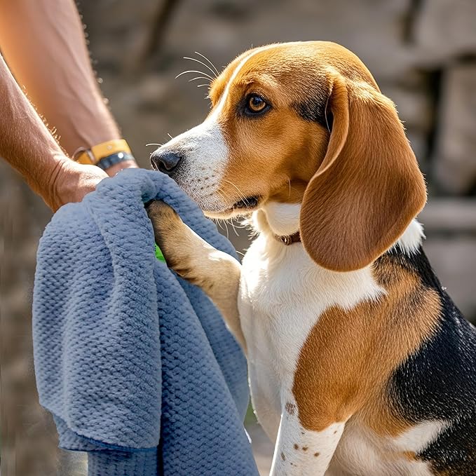 Microfiber Dog Towels - 40x24 Inch, Super Absorbent & Quick - Drying, Soft Pet Grooming Towel for Small & Medium Dogs & Cats, Blue