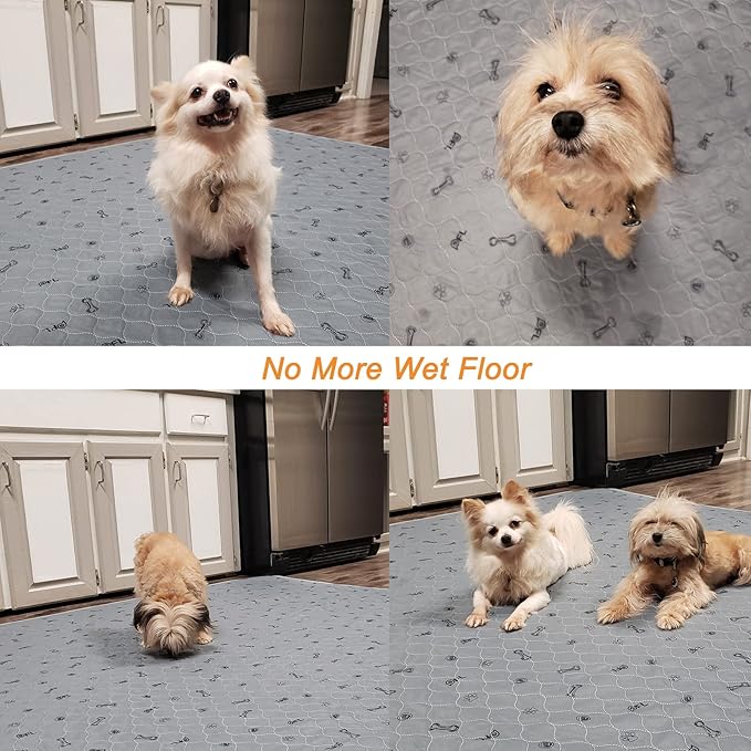 Washable Pee Pads for Small Pet, 2 Pack Reusable Pet Training Pads Washable,36x72 Absorbent Reusable Whelping Pads, Non-Slip Dog Mats with Bone Print for Rabbit Guinea Pig Hamster Puppy