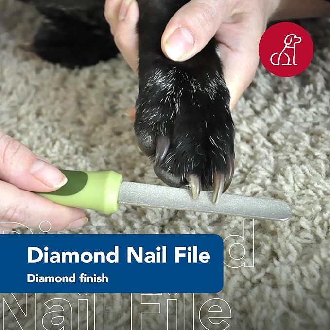 Coastal Pet Safari Dog Diamond Nail File - Diamond Finish for Smooth Nails - Removes Burs from Outdoor & Indoor Dogs - One Size