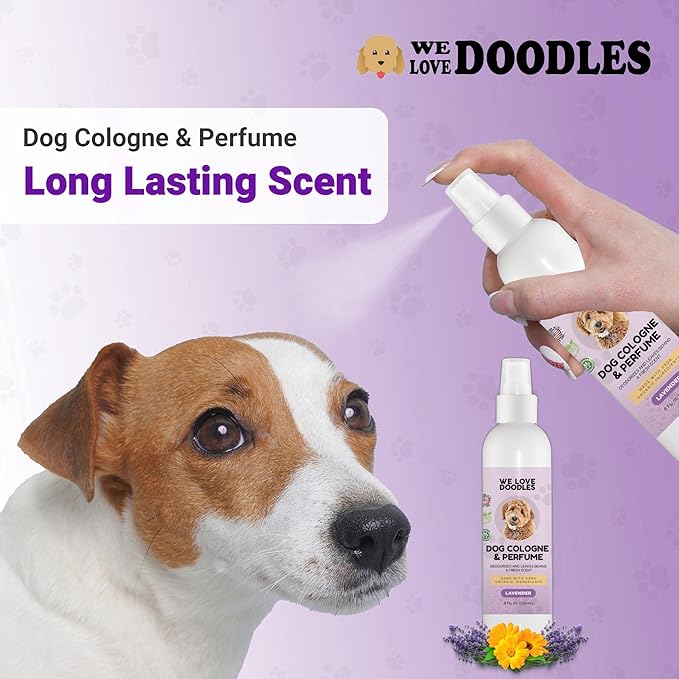 We Love Doodles Dog Cologne & Perfume (Lavender) and Dog Grooming Scissors Kit Bundle - Odor Eliminator Spray and Grooming Scissors Kit - Best Grooming Scissors For Goldendoodles - Made In USA