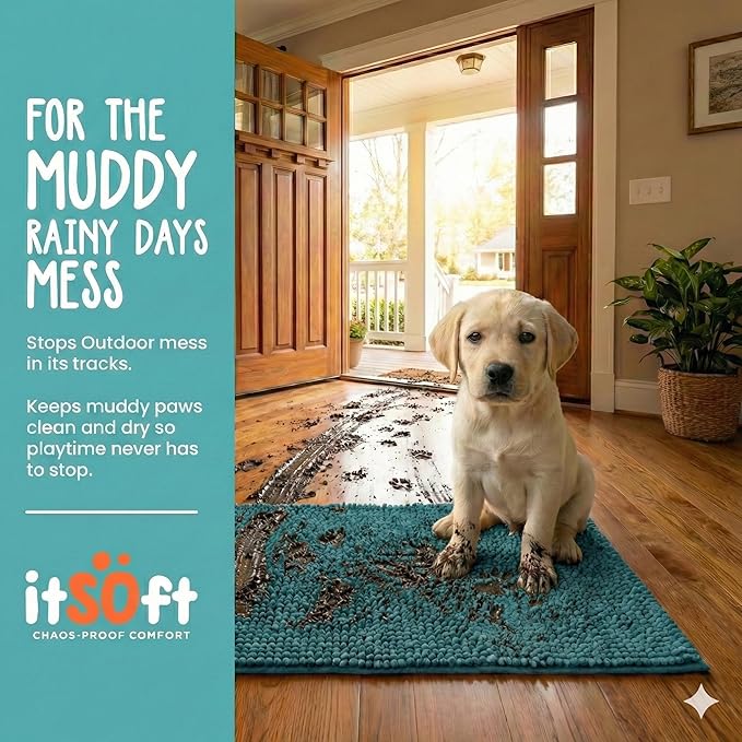 ITSOFT Dog Rugs for Muddy Paws 34x21 | Cleaner, Mud Free Floors | Dog Door Mat for Muddy Paws Muddy Rug for Dogs Absorbent Chenille Machine Washable w Non Slip Backing Outdoor Pets & Paw Matt, Teal