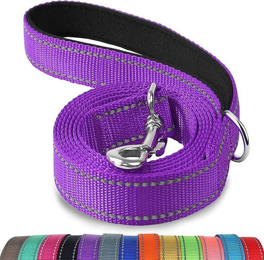 Joytale Dog Leash, 6 FT Double-Sided Reflective, Padded Handle Nylon Heavy Duty Leashes for Small Dogs Walking, Purple