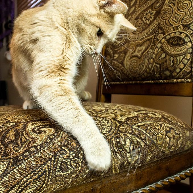 Double Sided Sticky Cat Scratch Tape | Couch & Furniture Protector from Cats | Anti Cat Scratch Tape for Carpet & Upholstery | 3 Inch x 15 Yards | by Teegan Tapes