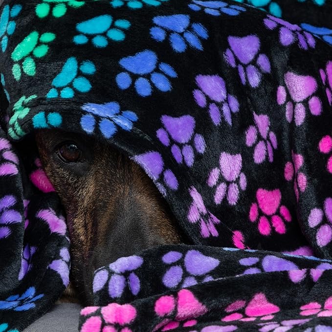 Pet Dog Cat Blanket Ultra Soft Cozy Fleece Paw Print Design Machine Washable Durable for Crates Beds Sofas Travel (Rainbow Paws, Large)